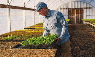 Volunteer at The Ecology Center in a greenhouse