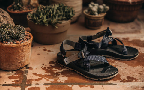 TS&#32;x&nbsp;Chaco:&nbsp;Granola