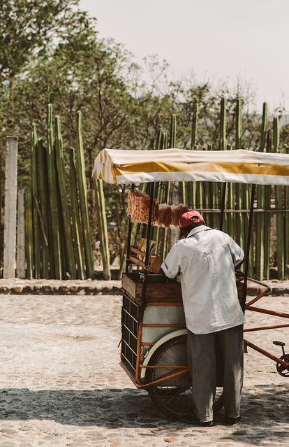 A rickshaw vendor standing in front of his vehicle, with his back to the camera.