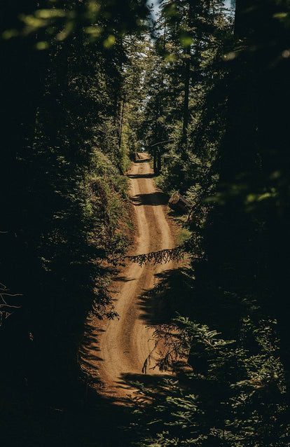 shot of dirt road