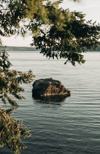 the waters of the pacific northwest.