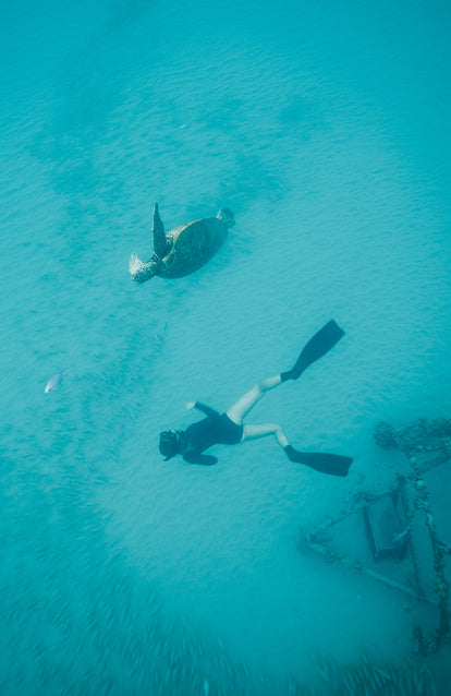 Looking down on a free diver swimming with a large green sea turtle.