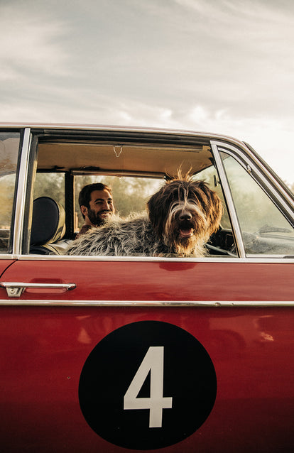 A large dog looking through the passenger side window of the red BMW, with Nico smiling in the background.