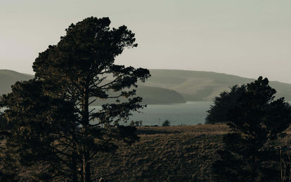 shot of Tomales Bay