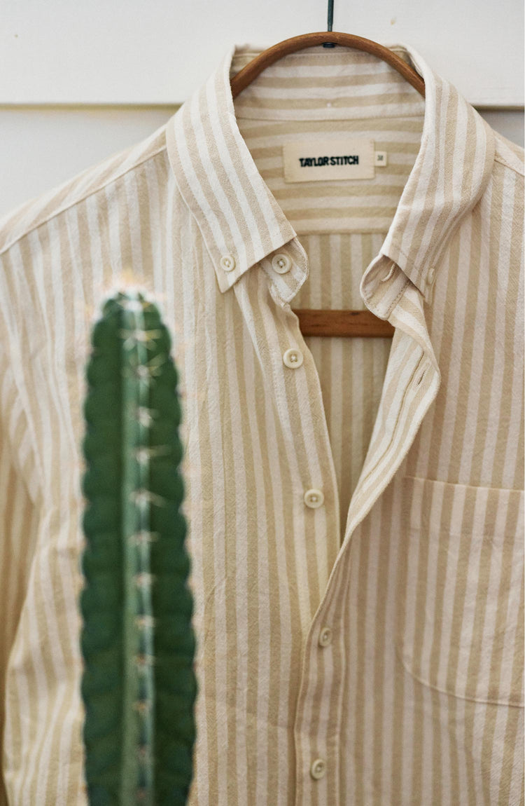 editorial image of The Jack in Dried Cacti Stripe on a hanger