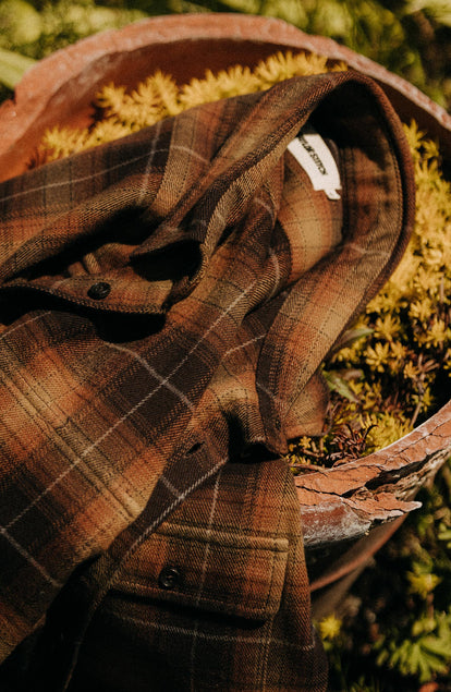 editorial image of The Yosemite Shirt in Bonfire Plaid in a plant