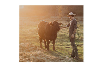 josh with cow