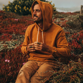 The Fillmore Hoodie in Saffron Terry: Alternate Image 2, Knits by Taylor Stitch