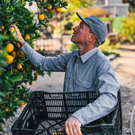 fit model at The Ecology Center picking oranges in The Chore Shirt in Washed Indigo Boss Duck, Wovens by Taylor Stitch